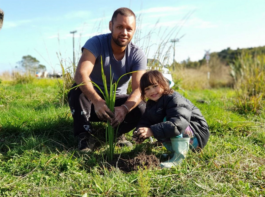 Over 30,000 trees set to be planted as part of a mass planting day